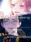 Cover 98611