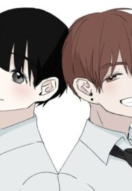 Cover 98676