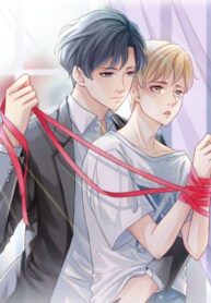Cover 98694
