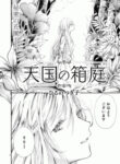 Cover 98775