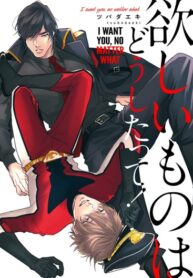 Cover 98793