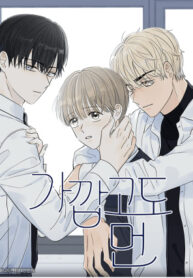 Cover 98811