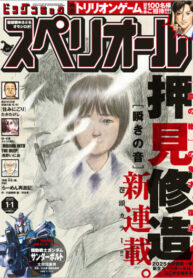 Cover 98870