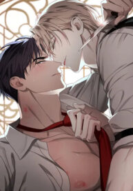Cover 99173