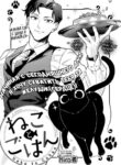 Cover 99504
