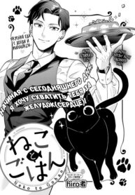 Cover 99504
