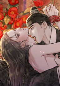 Cover 99558