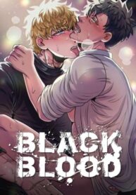 Cover 99641