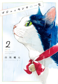 Cover 99882