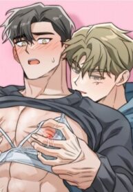 Cover 99981